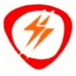 Shansen Ennterprises Logo